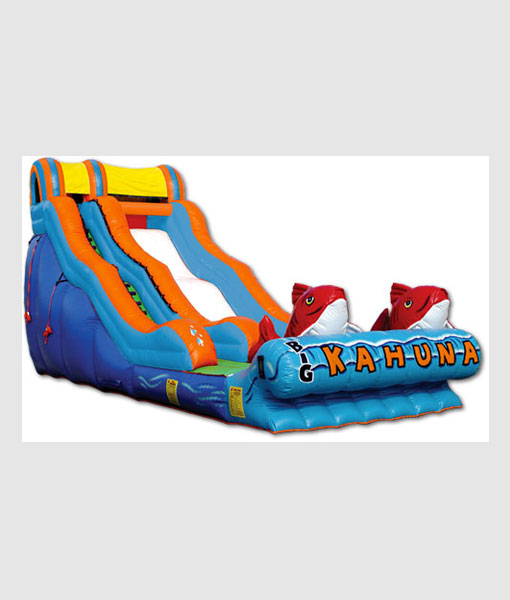 Big Kahuna Wet-Dry Slide (Water)