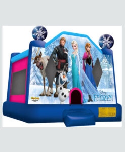 Disney Frozen Jumper – Clubhouse