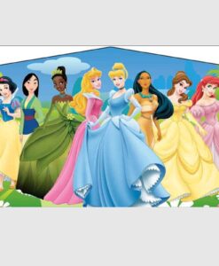 Disney Princess Banner