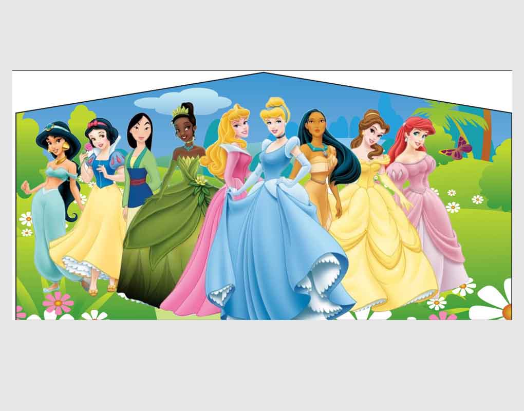 Disney Princess Banner thumbnail 2