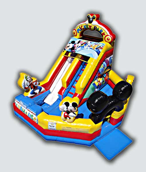 Mickey and Friends Wet/Dry Slide thumbnail 2