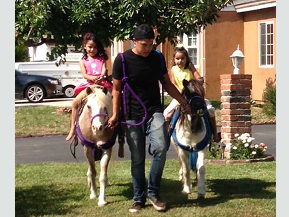 Pony Rides thumbnail 3