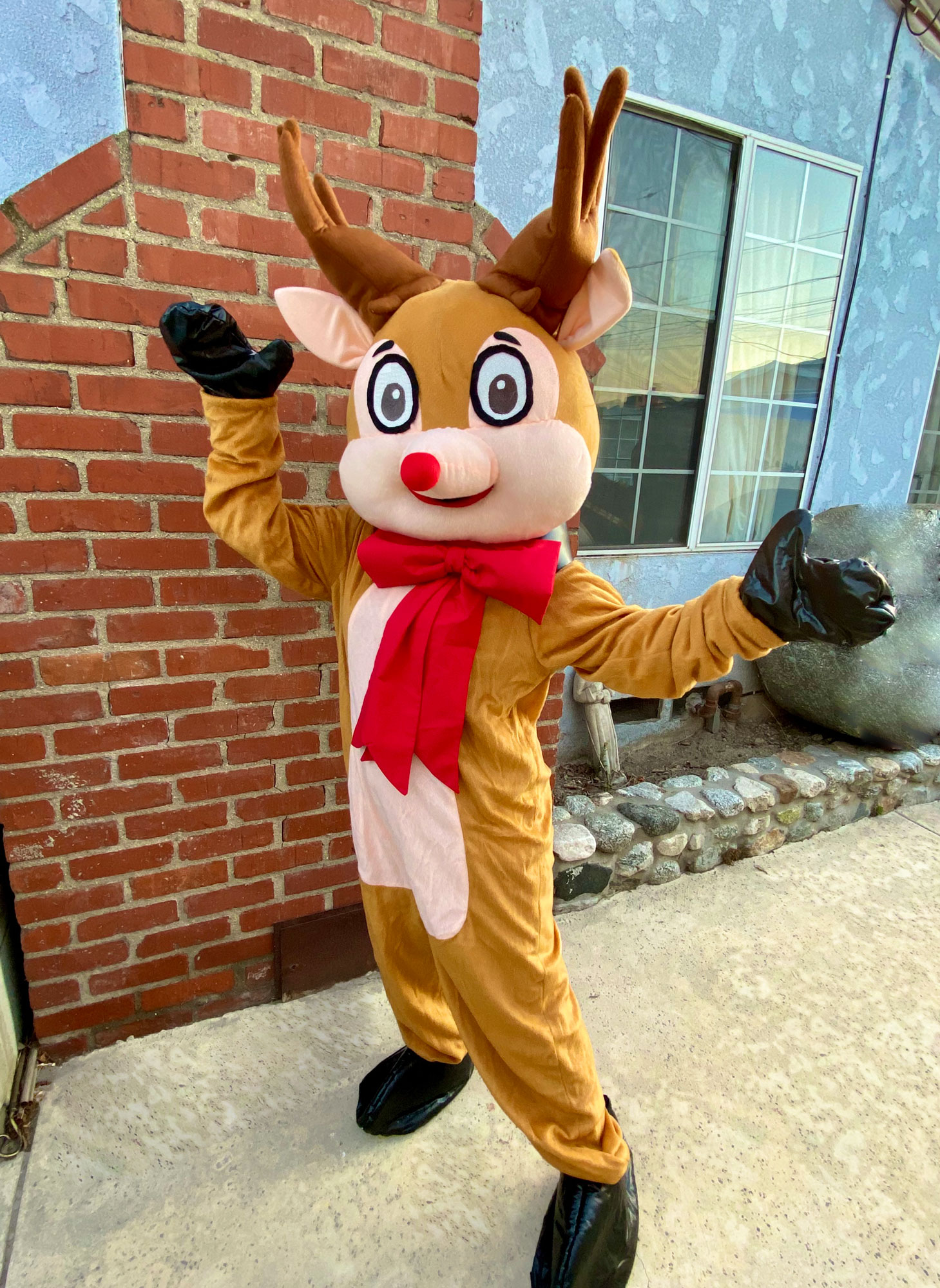 Christmas Reindeer Party Character