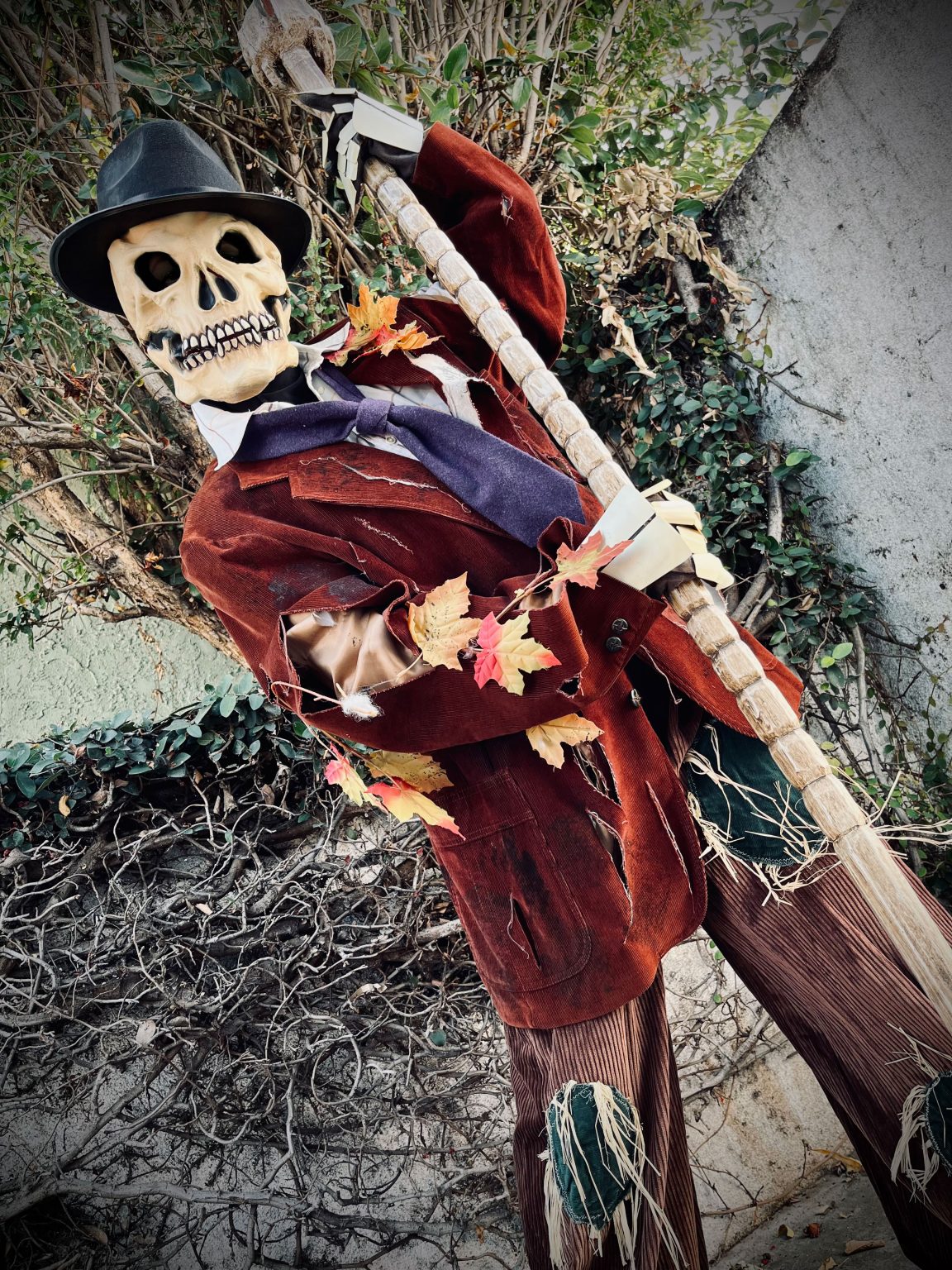 Skeleton Scarecrow Character