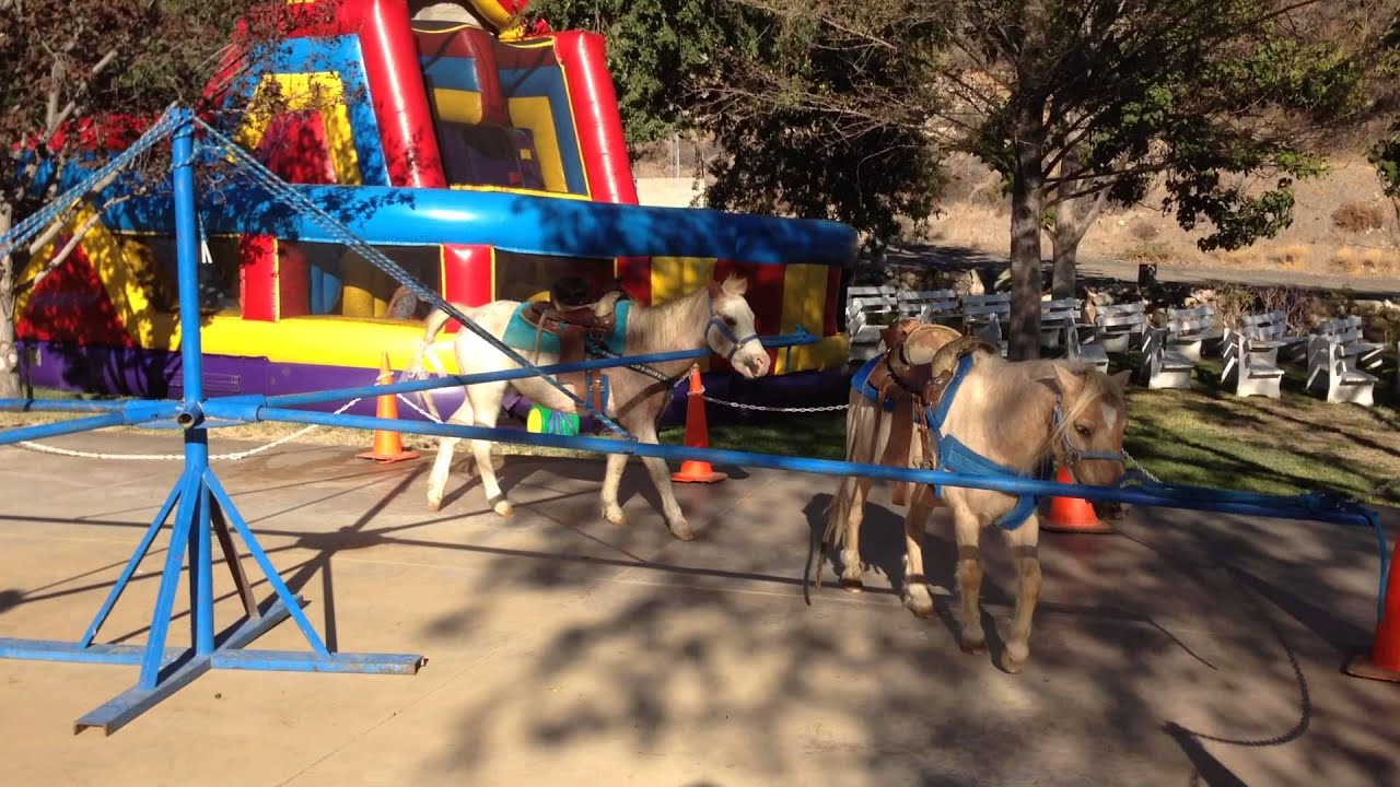 Pony Ride